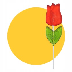 KWIATEK TULIPAN | LIZAK | 50 szt